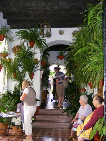 Córdoba patios / Patios de Córdoba