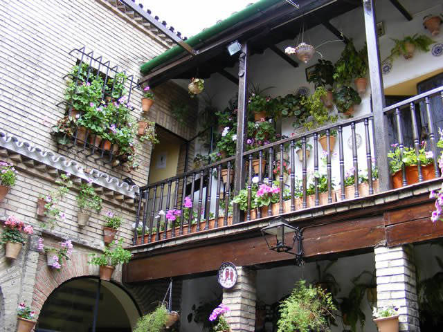 Córdoba patios / Patios de Córdoba
