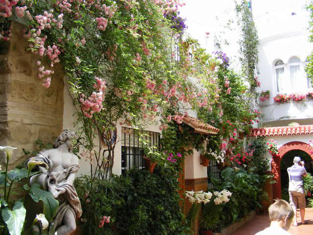 Córdoba patios / Patios de Córdoba