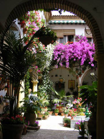 Córdoba patios / Patios de Córdoba