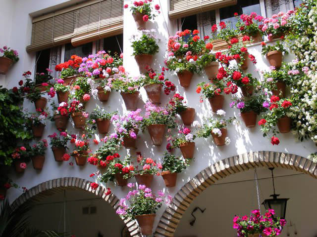 Córdoba patios / Patios de Córdoba