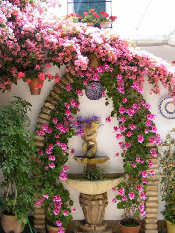 Córdoba patios / Patios de Córdoba