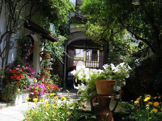 Córdoba patios / Patios de Córdoba