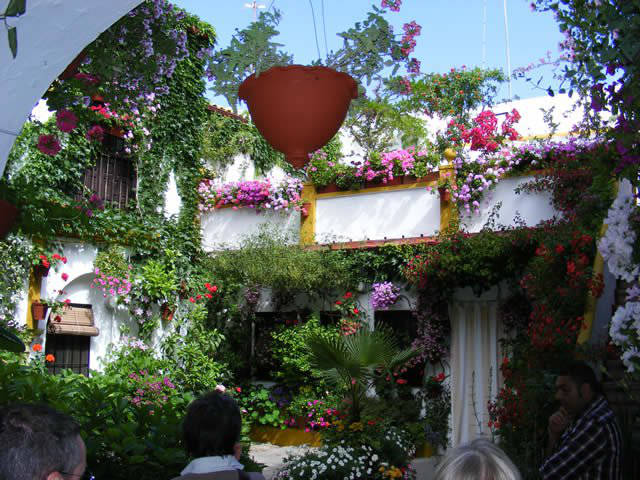 Córdoba patios / Patios de Córdoba