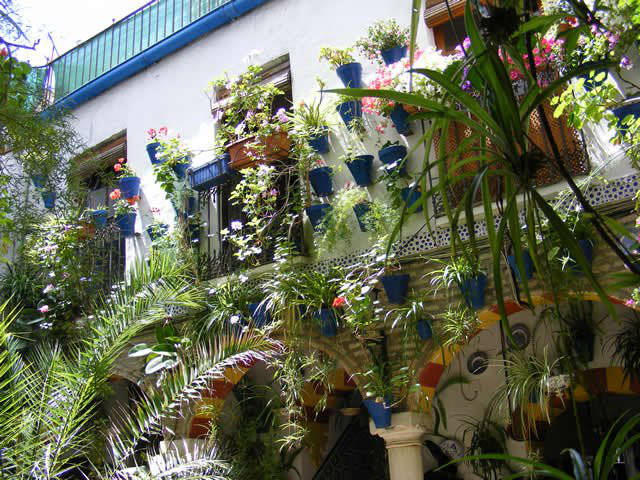 Córdoba patios / Patios de Córdoba