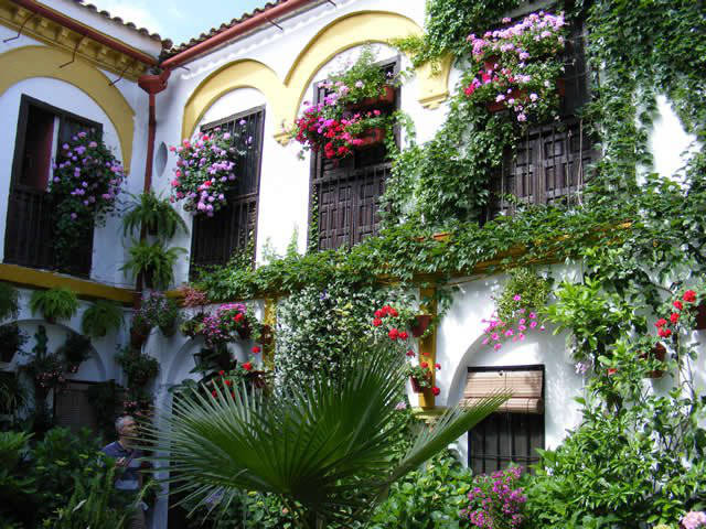 Córdoba patios / Patios de Córdoba