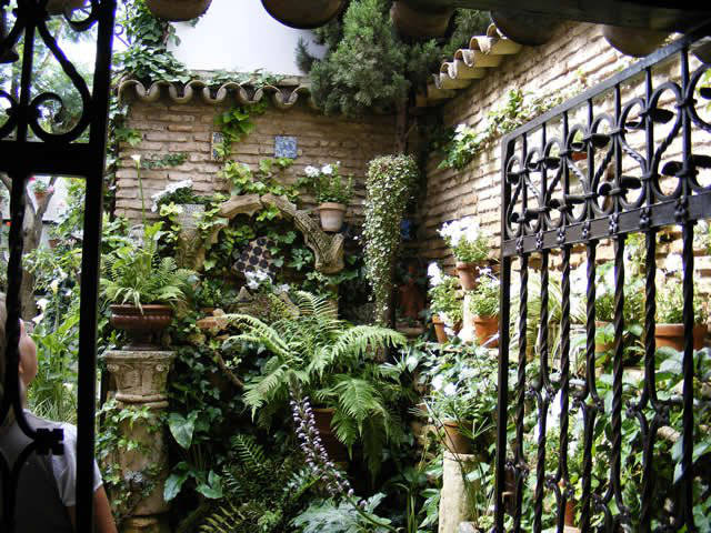 Córdoba patios / Patios de Córdoba
