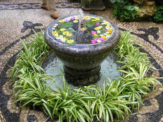 Córdoba patios / Patios de Córdoba