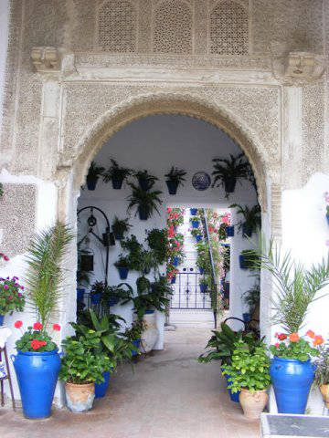 Córdoba patios / Patios de Córdoba