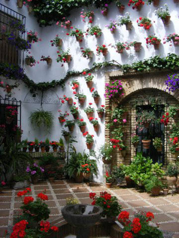 Córdoba patios / Patios de Córdoba