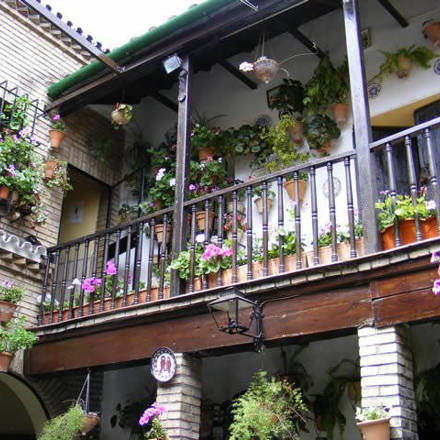 Córdoba patios / Patios de Córdoba