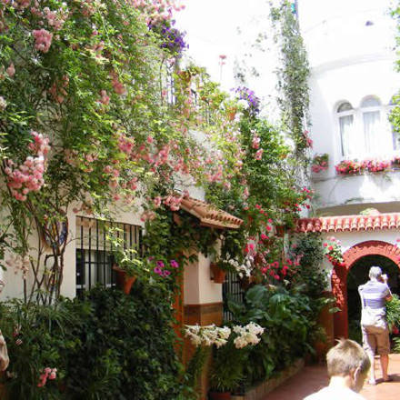 Córdoba patios / Patios de Córdoba