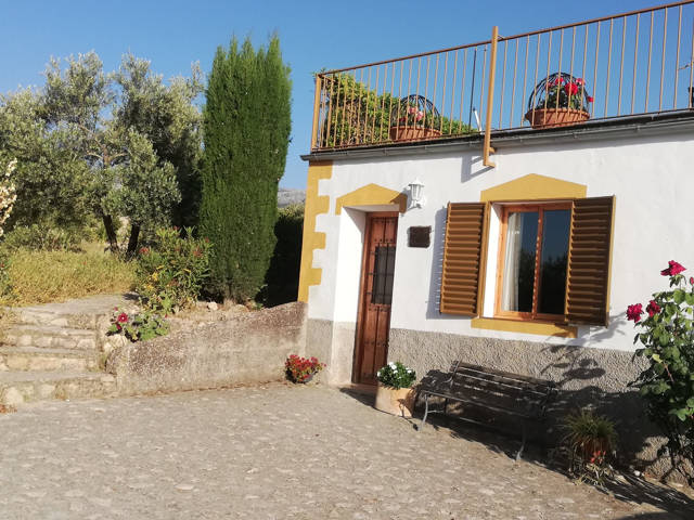 Front entrance to apartment El Olivo / Puerta principal al apartamento El Olivo