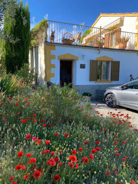 Front entrance to apartment El Olivo / Puerta principal al apartamento El Olivo
