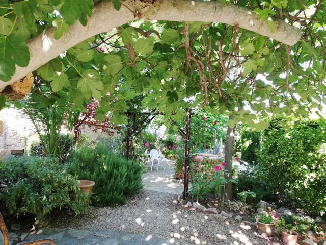 Out in the garden / En el jardín