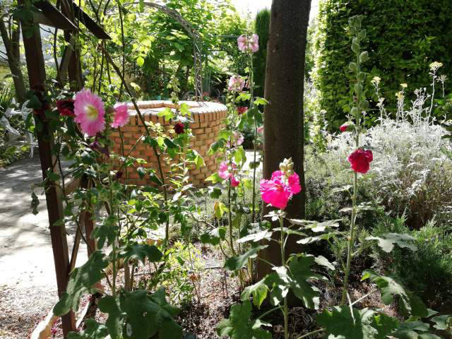 view of the garden / vista del jardín