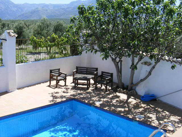 The pool in the morning / La piscina por la mañana