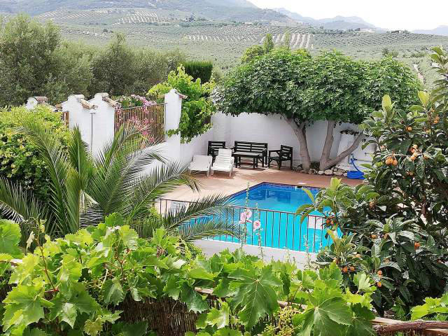 Looking over the pool / Mirando por encima de la piscina