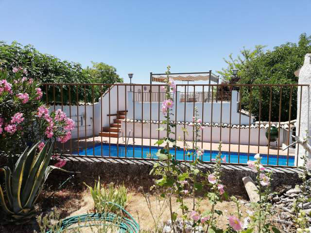 The pool and sun terrace / La piscina y la terraza