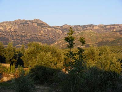 View to the mountains from Los Abedules