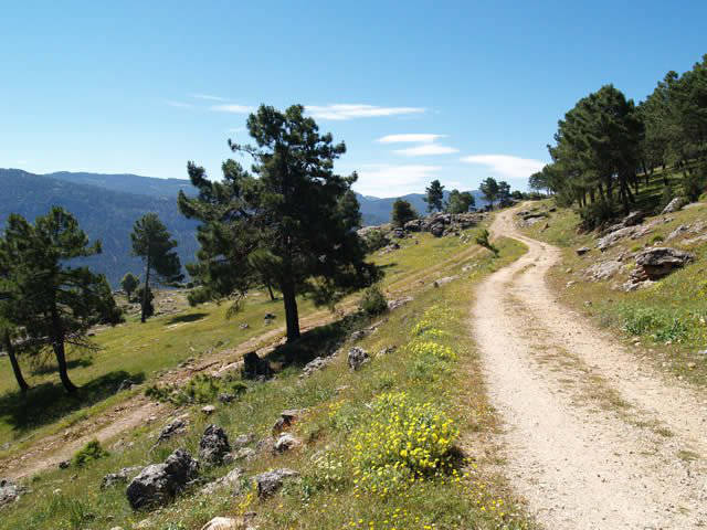 Mountain views / Senderismo en la sierra