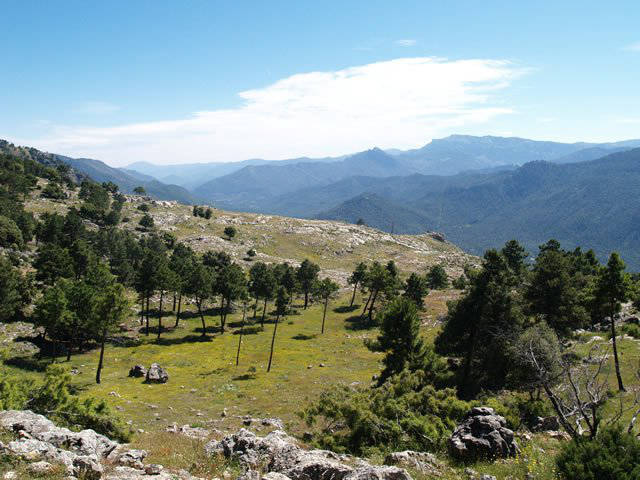 A path in the mountains / Un camino en la sierra