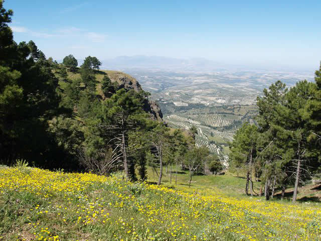 Mountain views / Vistas de la sierra