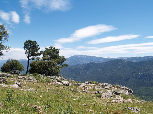Mountain views / Vistas de la sierra