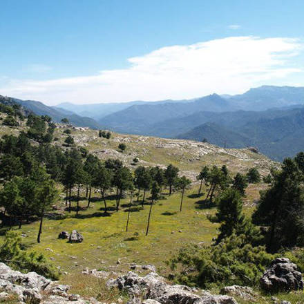 A path in the mountains / Un camino en la sierra