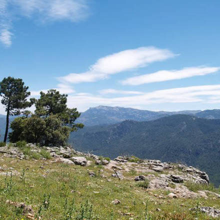 Mountain views / Vistas de la sierra