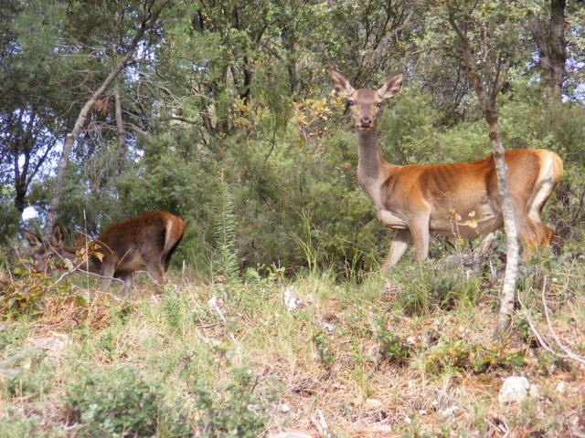 Sierra de Cazorla national park